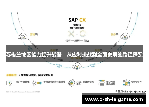 苏格兰地区能力提升战略：从应对挑战到全面发展的路径探索